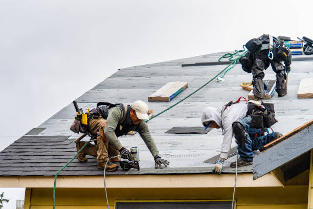 Professional Roofing technician working in Surry, ME